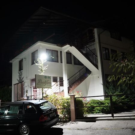 Passiflora Hotel Voineasa Ngoại thất bức ảnh