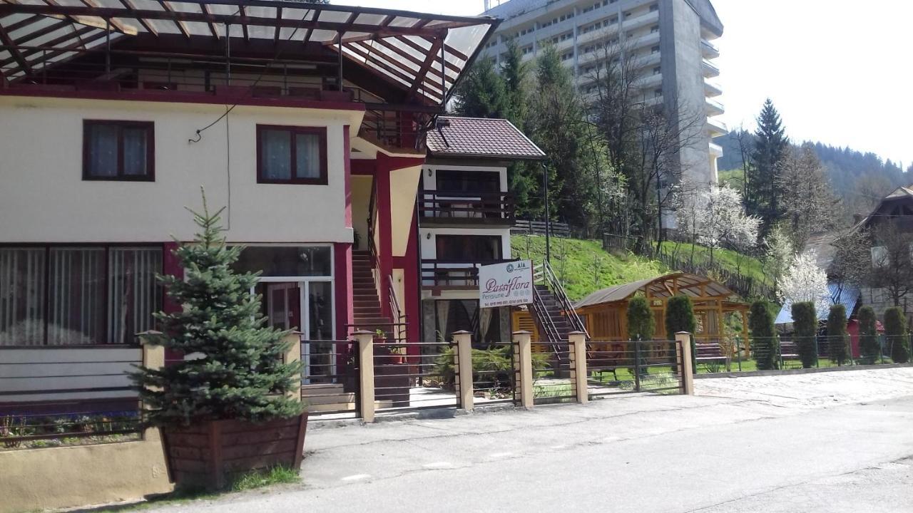Passiflora Hotel Voineasa Ngoại thất bức ảnh